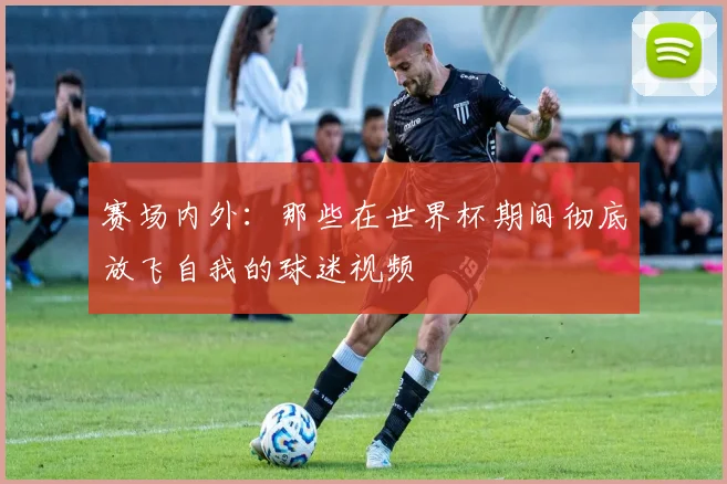 赛场内外：那些在世界杯期间彻底放飞自我的球迷视频
