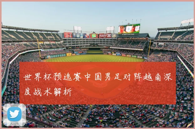 世界杯预选赛中国男足对阵越南深度战术解析