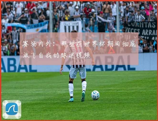 赛场内外：那些在世界杯期间彻底放飞自我的球迷视频