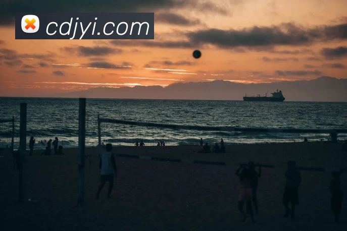 App Interface Preview