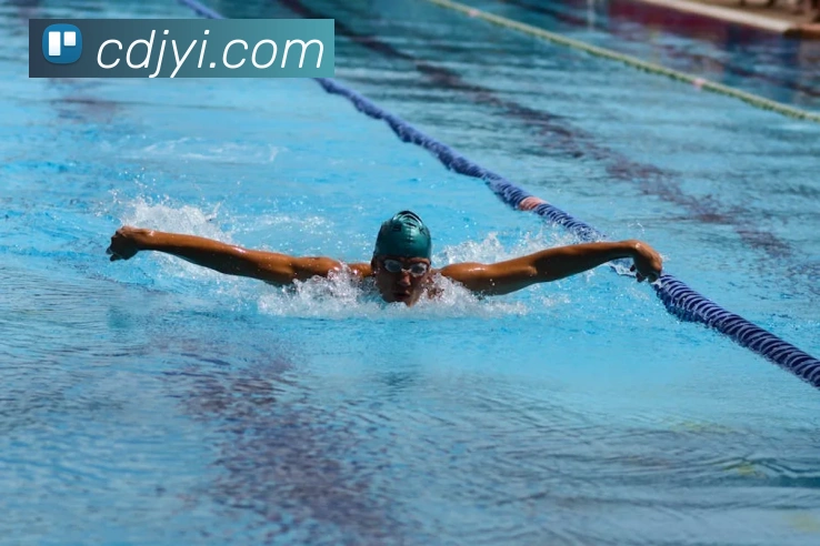 开云在线登录入口官网APP 封面图